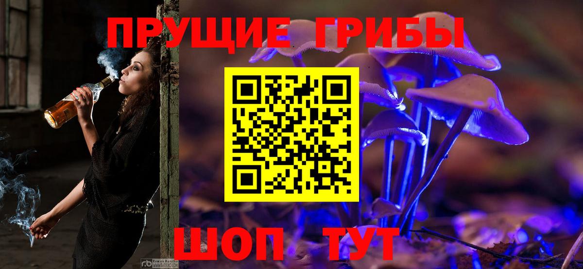Псилоцибиновые грибы Psilocybine cubensis Горячий Ключ